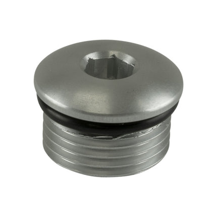 Turbosmart -10AN ORB Blank - Clear