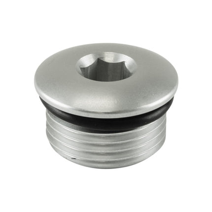 Turbosmart -12AN ORB Blank - Clear