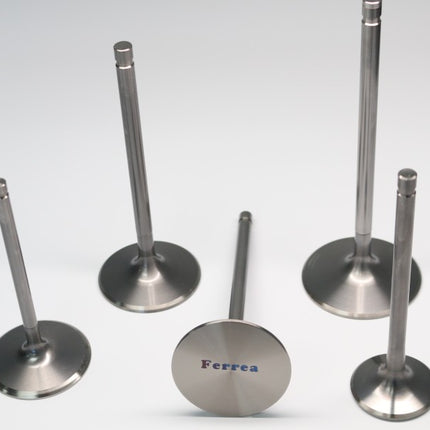 Photo - Primary