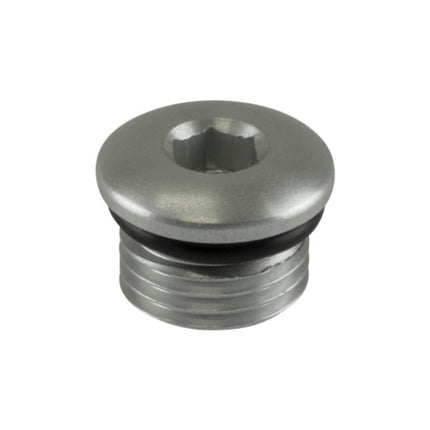 Turbosmart -6AN ORB Blank - Clear