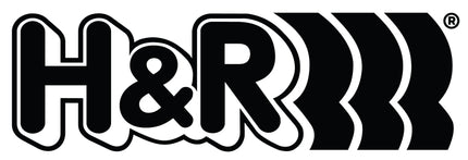 H&R 36mm ID Single Race Spring - 2.95in Length - 458lbs/in Spring Rate - 692lbs Block Load