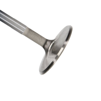 Photo - Primary