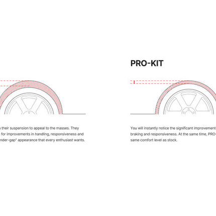 Eibach 2026 Tesla Model Y RWD Juniper Pro-Kit