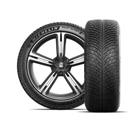 Michelin Pilot Alpin 5 SUV 295/35R21 107V XL