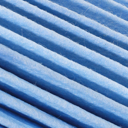 Photo - Close Up